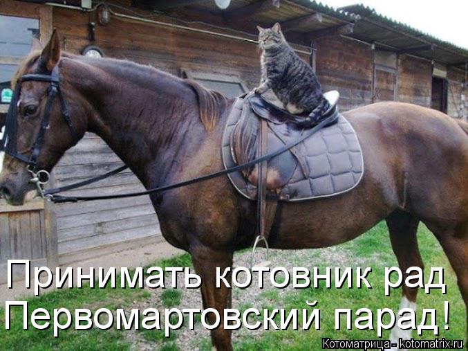 Котоматрица: Принимать котовник рад Первомартовский парад!