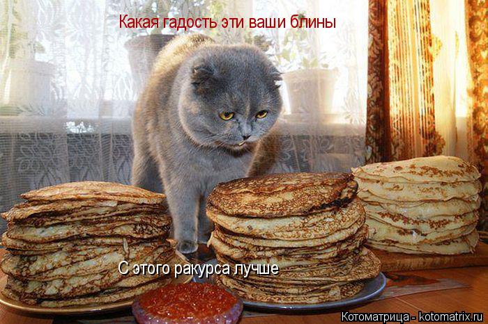Котоматрица: Какая гадость эти ваши блины С этого ракурса лучше