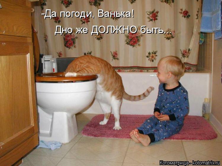 Котоматрица: -Да погоди, Ванька!  Дно же ДОЛЖНО быть...