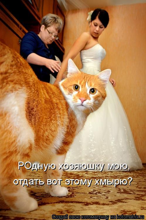 Котоматрица: РОдную хозяюшку мою, отдать вот этому хмырю?