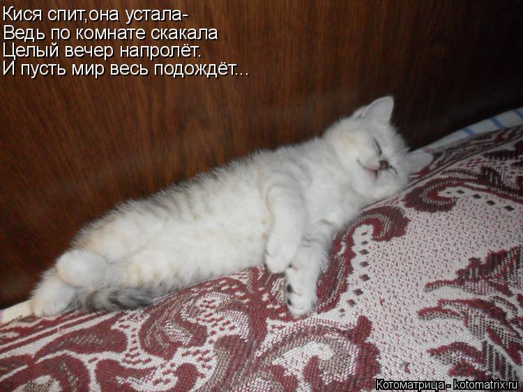 Котоматрица: Кися спит,она устала- Ведь по комнате скакала Целый вечер напролёт. И пусть мир весь подождёт...
