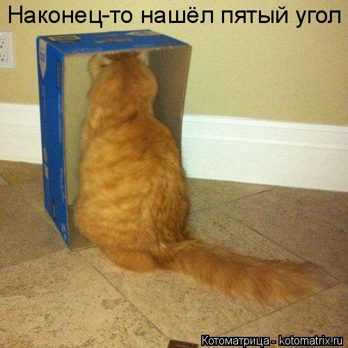 Котоматрица: Наконец-то нашёл пятый угол