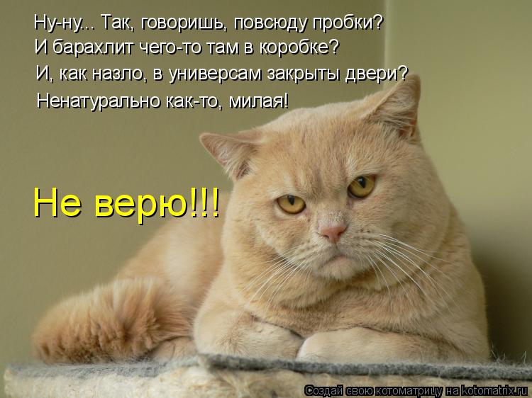 Котоматрица: Ну-ну... Так, говоришь, повсюду пробки? И барахлит чего-то там в коробке? И, как назло, в универсам закрыты двери? Ненатурально как-то, милая! Не 