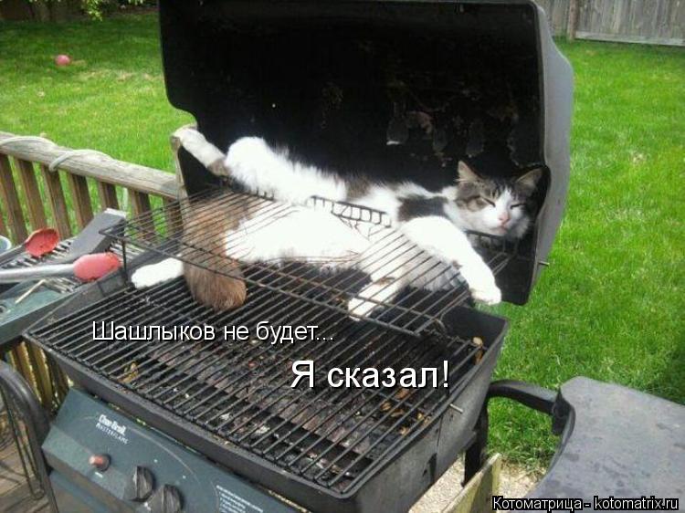 Котоматрица: Шашлыков не будет... Я сказал!