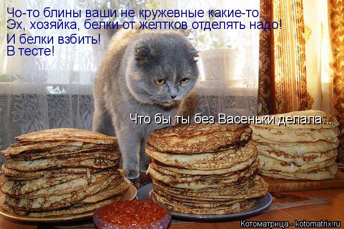 Чо-то блины ваши не кружевные какие-то... Эх, хозяйка, белки от желтков отделять надо! И белки взбить... Котоматрица: Чо-то блины ваши не кружевные какие-то... Эх, хозяйка, белки от желтков отделять надо! И белки взбить! В тесте! Что бы ты без Васеньки делала...