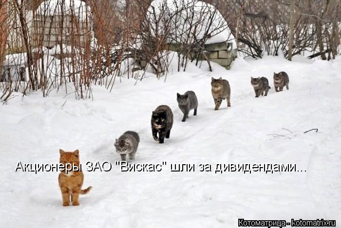 Котоматрица: Акционеры ЗАО "Вискас" шли за дивидендами...