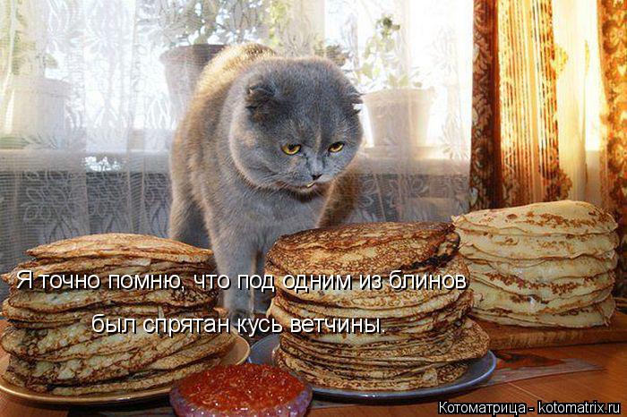 Котоматрица: Я точно помню, что под одним из блинов был спрятан кусь ветчины.