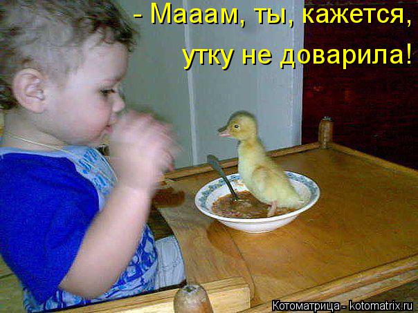 утку не доварила! - Мааам, ты, кажется,... Котоматрица: утку не доварила! - Мааам, ты, кажется,