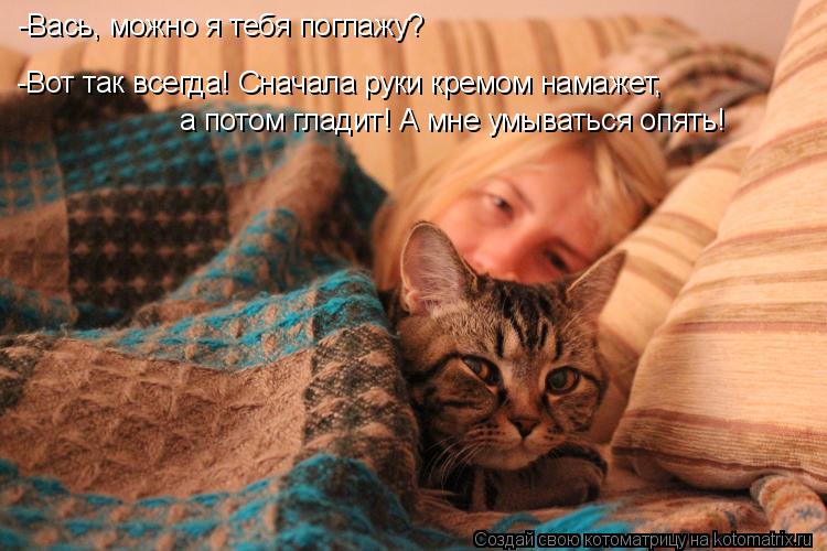 Котоматрица: -Вась, можно я тебя поглажу? -Вот так всегда! Сначала руки кремом намажет, а потом гладит! А мне умываться опять!