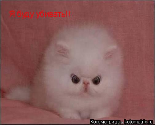 Котоматрица: Я буду убивать!!