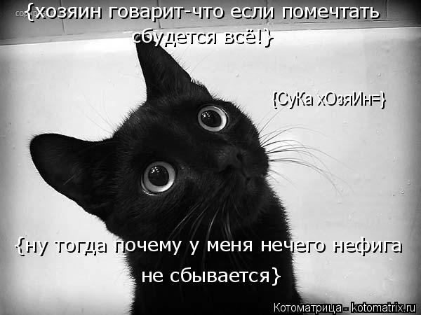 Котоматрица: {хозяин говарит-что если помечтать сбудется всё!} {ну тогда почему у меня нечего нефига не сбывается} {СуКа хОзяИн=}