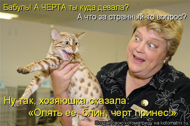 Котоматрица: Бабуль! А ЧЕРТА ты куда девала? А что за странный-то вопрос? Ну так, хозяюшка сказала: «Опять ее, блин, черт принес!»