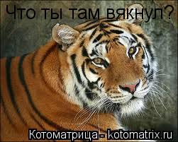 Котоматрица: Что ты там вякнул?