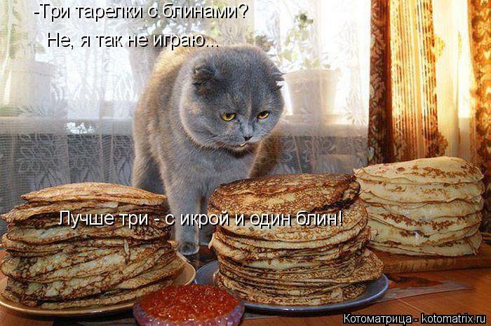 -Три тарелки с блинами? Не, я так не играю... Лучше три - с икрой и один блин!... Котоматрица: -Три тарелки с блинами? Не, я так не играю... Лучше три - с икрой и один блин!