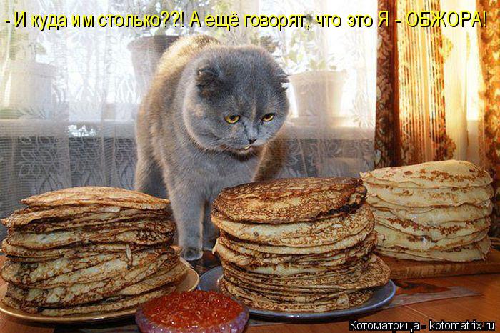 - И куда им столько??! А ещё говорят, что это Я - ОБЖОРА!... Котоматрица: - И куда им столько??! А ещё говорят, что это Я - ОБЖОРА!
