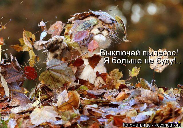 Котоматрица: -Выключай пылесос! Я больше не буду!..