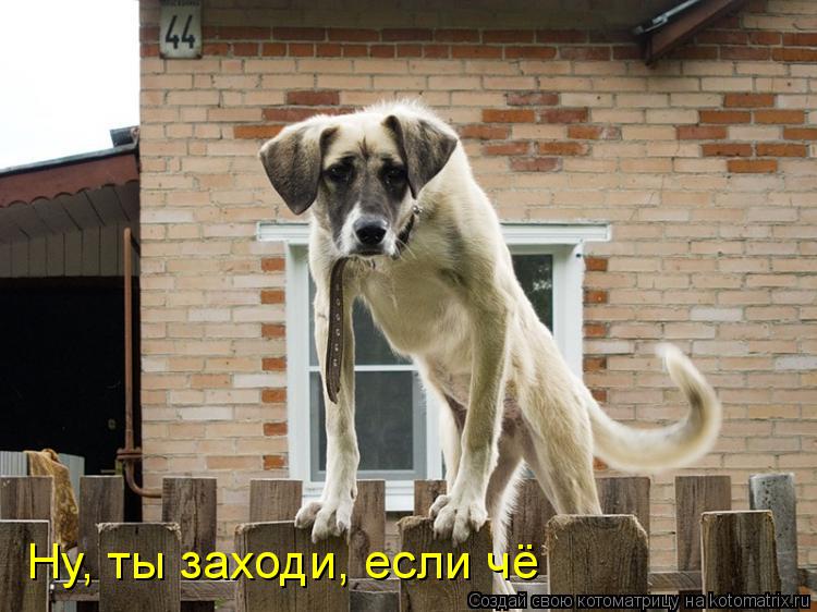 Ну, ты заходи, если чё... Котоматрица: Ну, ты заходи, если чё