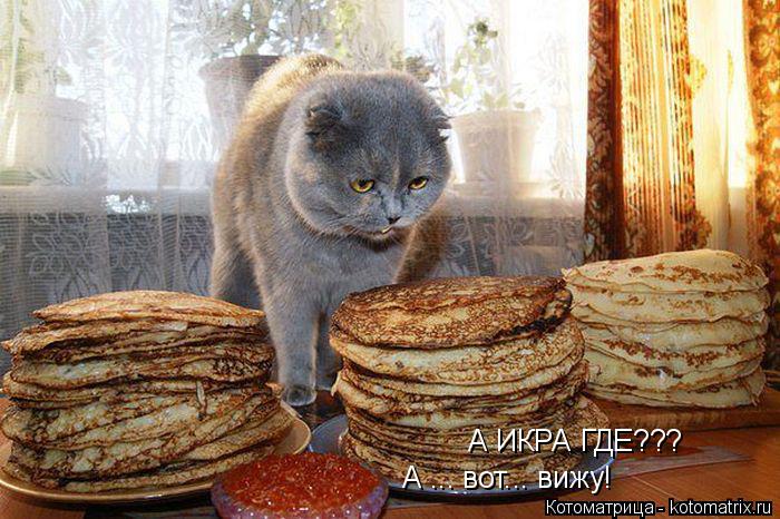 Котоматрица: А ИКРА ГДЕ???  А ... вот... вижу!