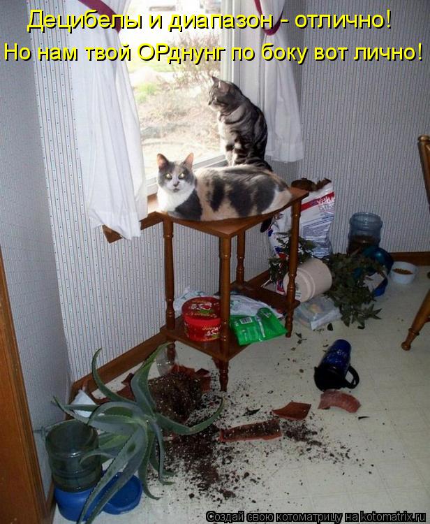 Котоматрица: Децибелы и диапазон - отлично! Но нам твой ОРднунг по боку вот лично!