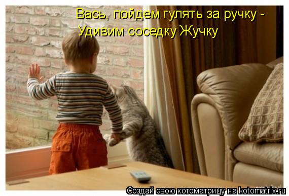 Котоматрица: Вась, пойдем гулять за ручку - Удивим соседку Жучку