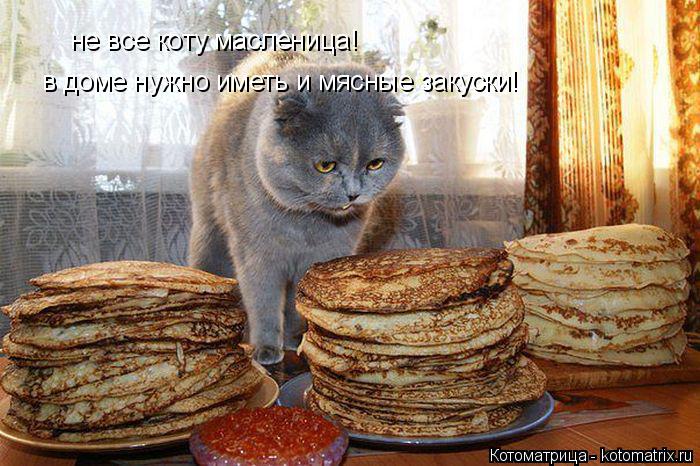 Котоматрица: не все коту масленица! в доме нужно иметь и мясные закуски!