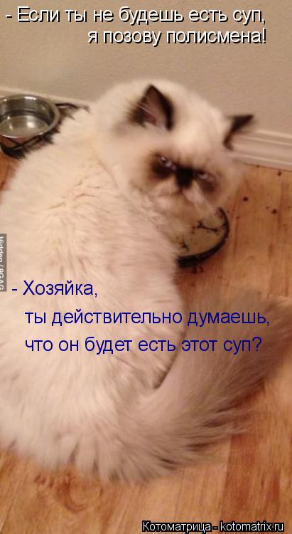 - Если ты не будешь есть суп, я позову полисмена! ты действительно думаешь, - Хозяйка, что он буд... Котоматрица: - Если ты не будешь есть суп, я позову полисмена! ты действительно думаешь, - Хозяйка, что он будет есть этот суп?