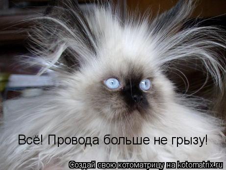 Котоматрица: Всё! Провода больше не грызу!