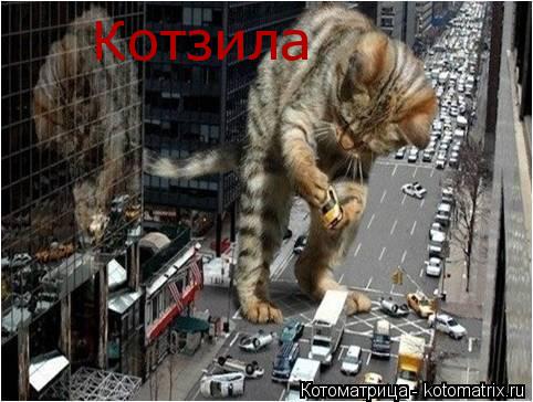 Котоматрица: Котзила
