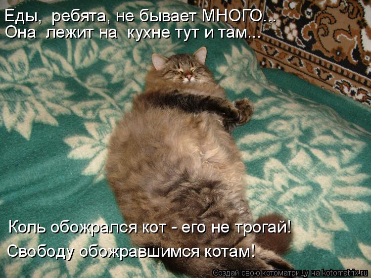 Свободу обожравшимся котам! Коль обожрался кот - его не трогай! Еды, ребята, не бывает МНОГО... Она ... Котоматрица: Свободу обожравшимся котам! Коль обожрался кот - его не трогай! Еды, ребята, не бывает МНОГО... Она лежит на кухне тут и там...