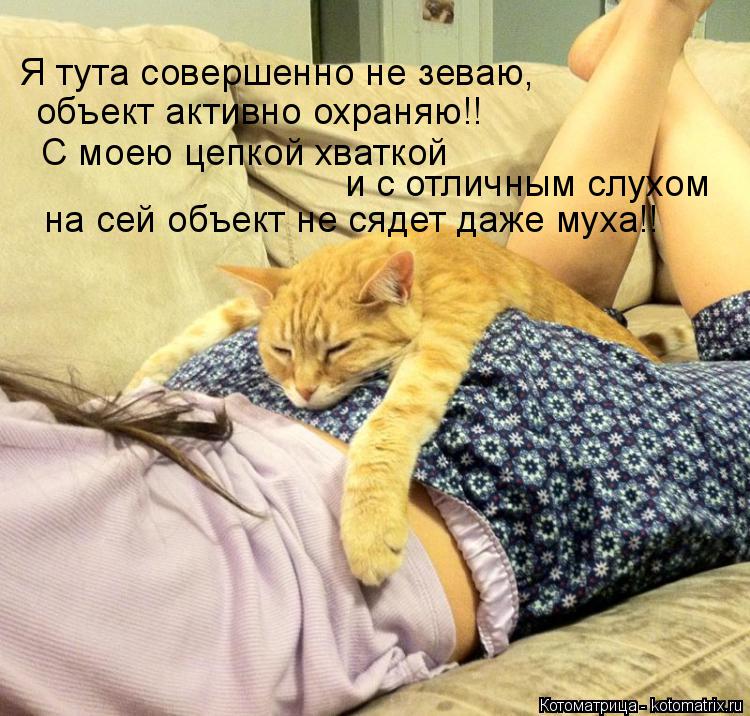 Котоматрица: Я тута совершенно не зеваю, объект активно охраняю!! С моею цепкой хваткой  и с отличным слухом на сей объект не сядет даже муха!!