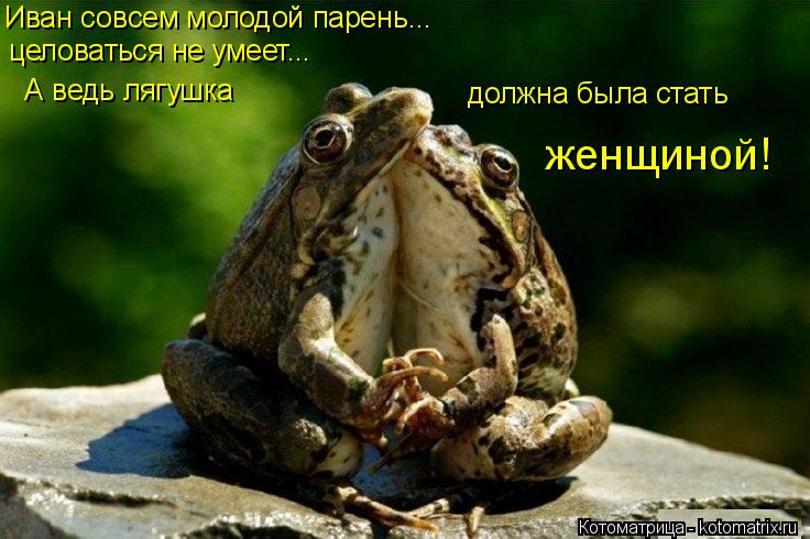 Иван совсем молодой парень... целоваться не умеет... А ведь лягушка должна была стать женщиной!... Котоматрица: Иван совсем молодой парень... целоваться не умеет... А ведь лягушка должна была стать женщиной!