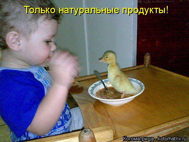 Котоматрица: Только натуральные продукты!
