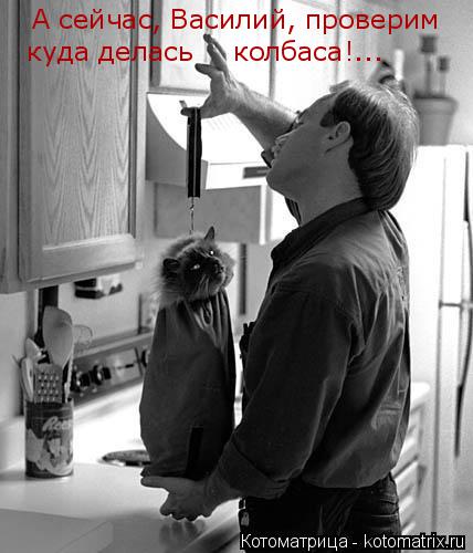 А сейчас, Василий, проверим куда делась колбаса!...... Котоматрица: А сейчас, Василий, проверим куда делась колбаса!...