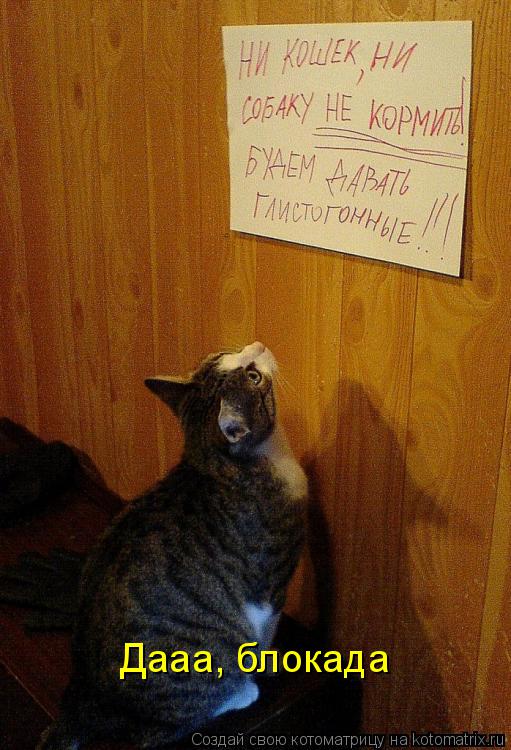 Котоматрица: Дааа, блокада