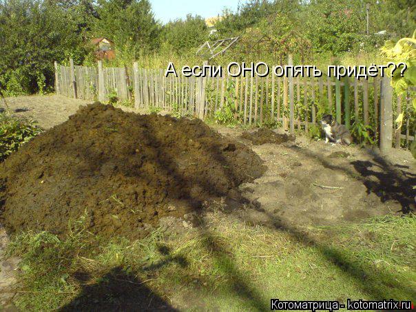 А если ОНО опять придёт??... Котоматрица: А если ОНО опять придёт??