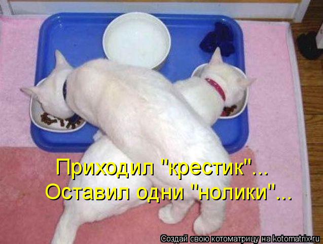 Котоматрица: Приходил "крестик"... Оставил одни "нолики"...