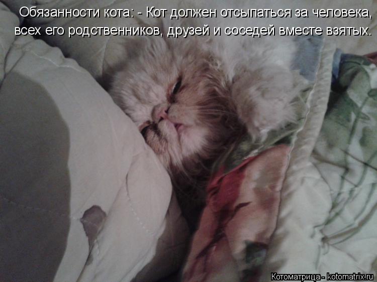 Котоматрица: Обязанности кота: - Кот должен отсыпаться за человека, всех его родственников, друзей и соседей вместе взятых. всех его родственников, друзе