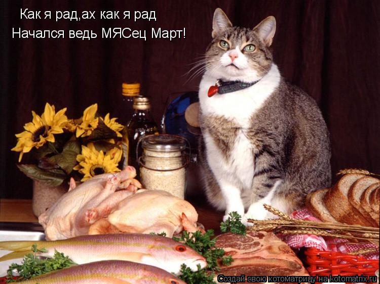 Котоматрица: Как я рад,ах как я рад Начался ведь МЯСец Март!