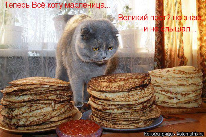 Теперь Всё коту масленица... Великий пост? не знаю, и не слышал...... Котоматрица: Теперь Всё коту масленица... Великий пост? не знаю, и не слышал...