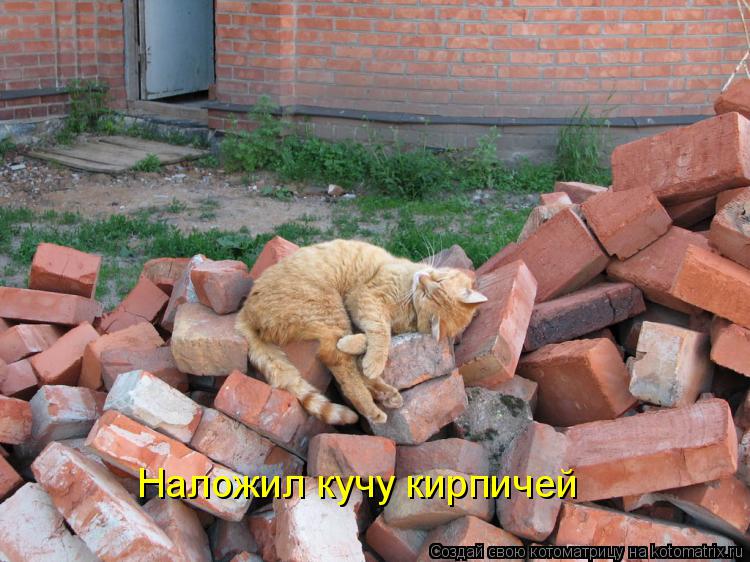 Котоматрица: Наложил кучу кирпичей