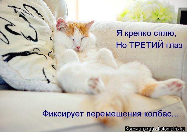Котоматрица: Я крепко сплю, Но ТРЕТИЙ глаз Фиксирует перемещения колбас...