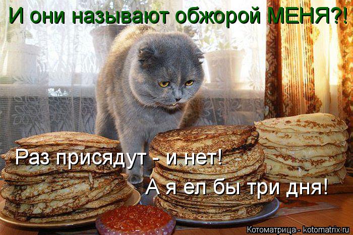 Котоматрица: Раз присядут - и нет! А я ел бы три дня! И они называют обжорой МЕНЯ?!