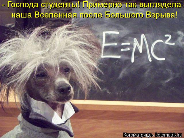 Котоматрица: - Господа студенты! Примерно так выглядела наша Вселенная после Большого Взрыва!