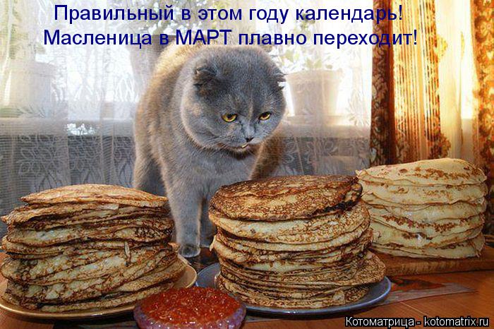 Котоматрица: Масленица в МАРТ плавно переходит! Правильный в этом году календарь!