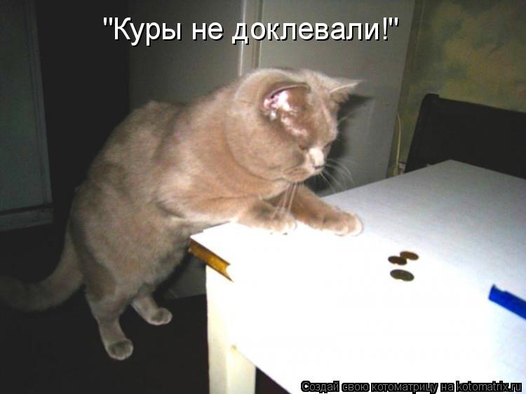 Котоматрица: "Куры не доклевали!"