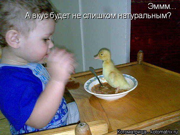 Котоматрица: Эммм... А вкус будет не слишком натуральным?