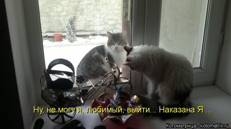 Ну, не могу я, любимый, выйти... Наказана Я ...... Котоматрица: Ну, не могу я, любимый, выйти... Наказана Я ...