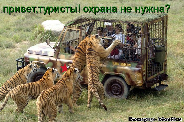 Котоматрица: привет,туристы! охрана не нужна?