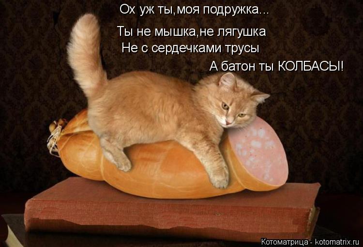 Ох уж ты,моя подружка... Ты не мышка,не лягушка Не с сердечками трусы А батон ты КОЛБАСЫ!... Котоматрица: Ох уж ты,моя подружка... Ты не мышка,не лягушка Не с сердечками трусы А батон ты КОЛБАСЫ!