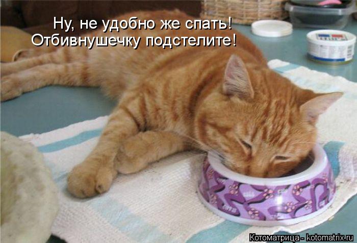 Котоматрица: Отбивнушечку подстелите! Ну, не удобно же спать!